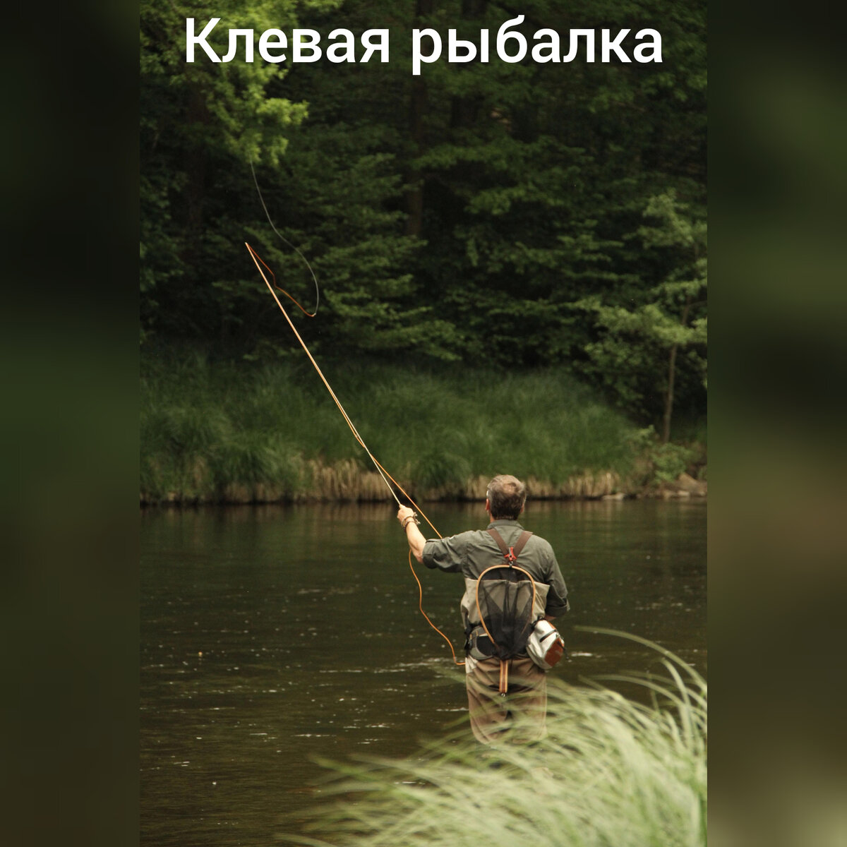 #клеваярыбалка 