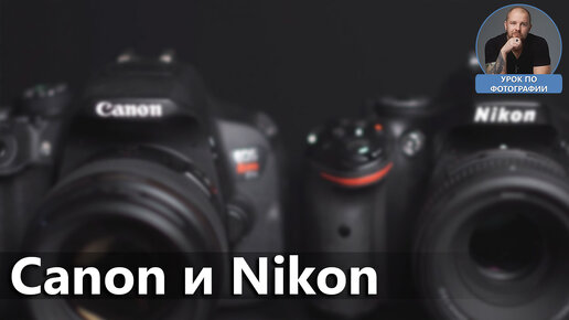 Сравнение Nikon z6 и Canon RP цветопередача