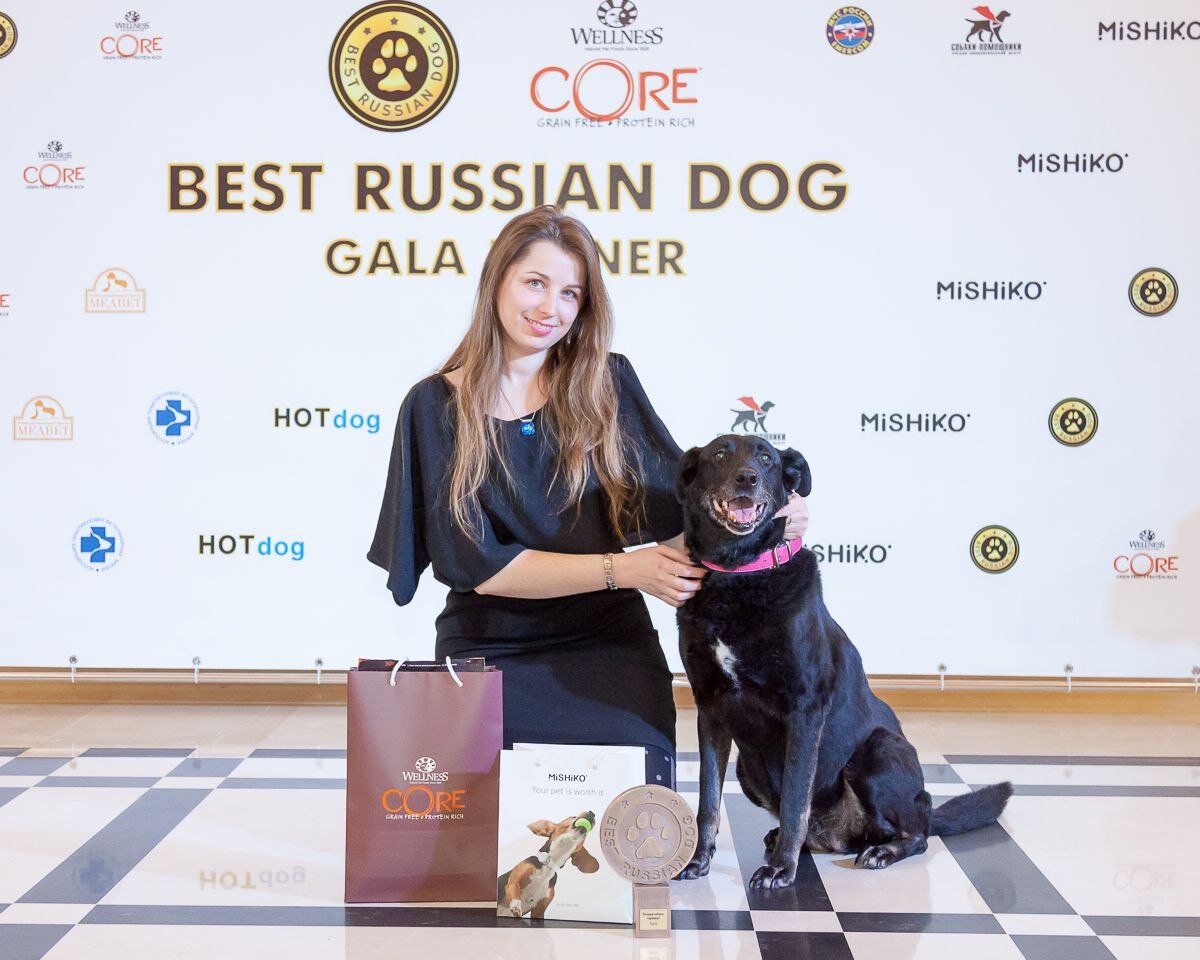 Собака-терапевт Найти на церемонии награждения Best Russian Dog.