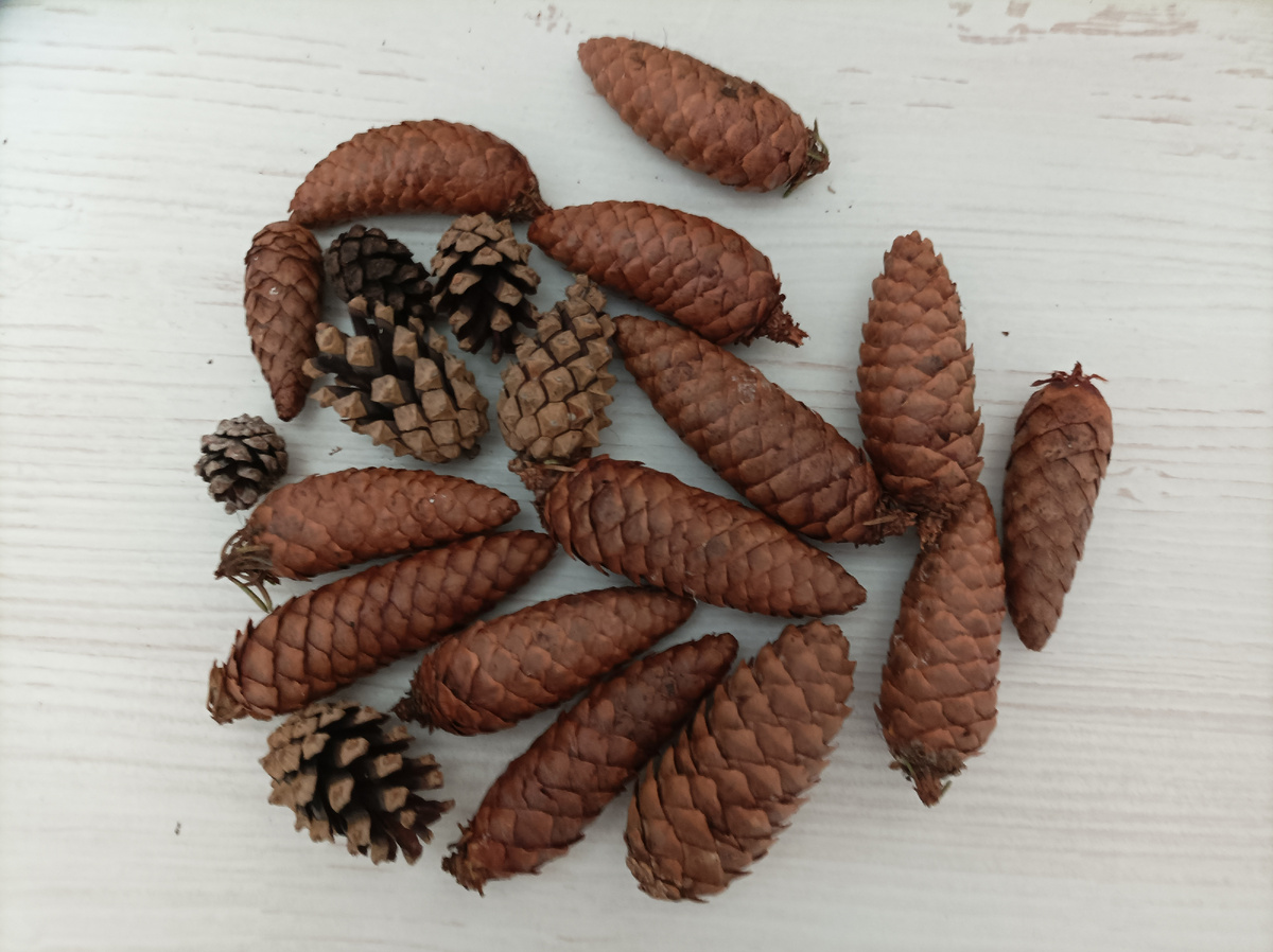 Скоро пора поделок, мало взяла))) 