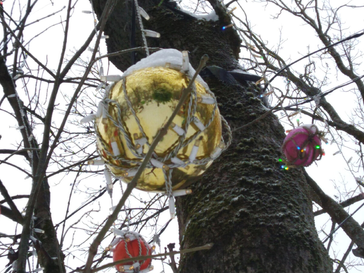 новогодний шар. фото автора