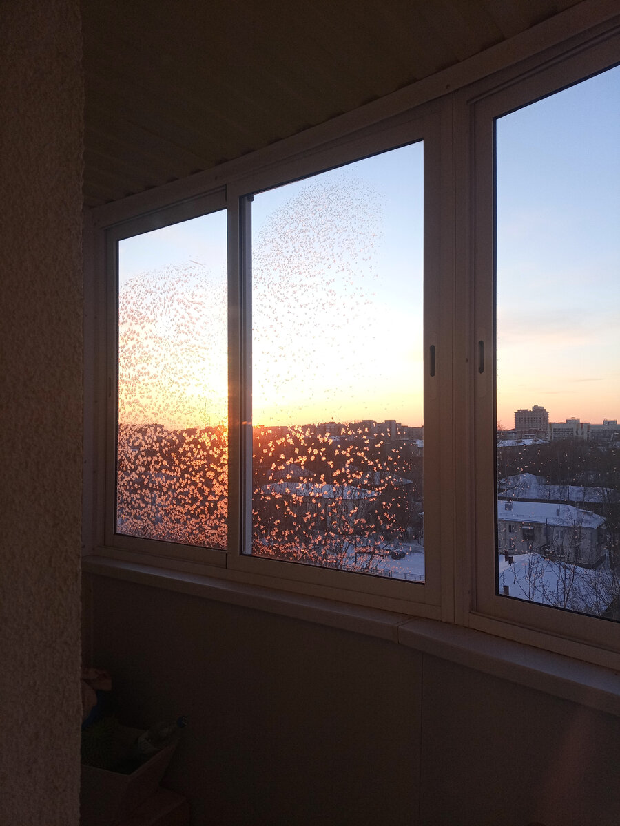 морозный денек