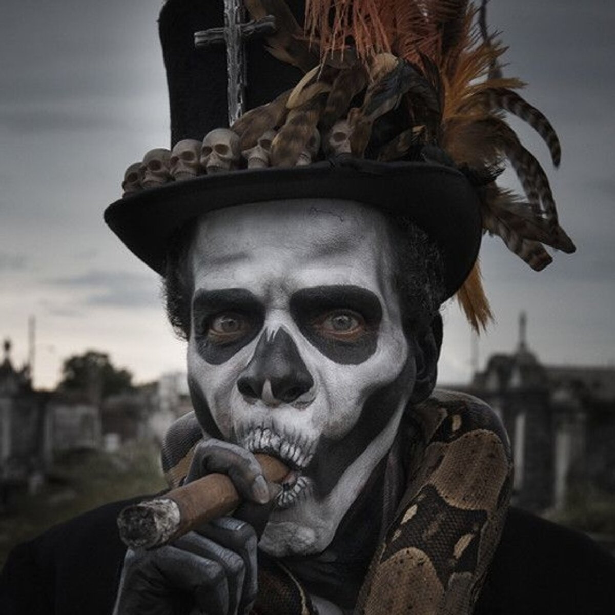 Baron samedi картинки