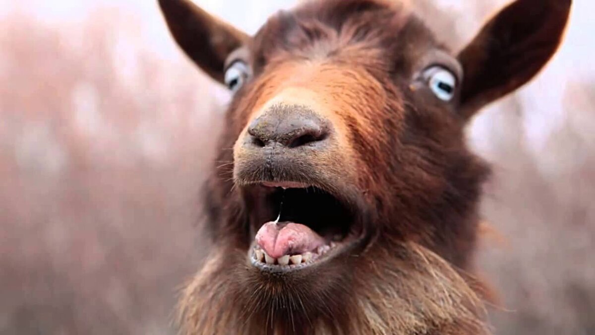 Фото взято из свободного информационного источника.