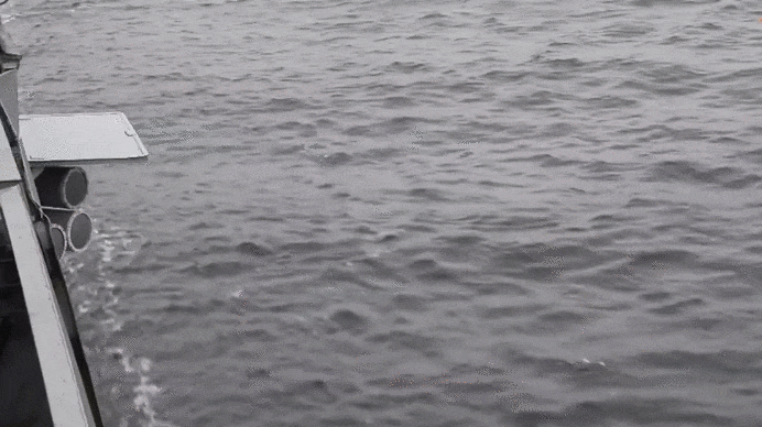 Противолодочный комплекс "Пакет-НК" - пуск торпеды (анимация).