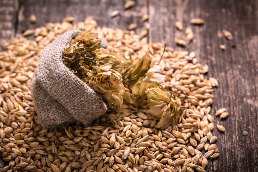 фото с сайта visit-twincities.com