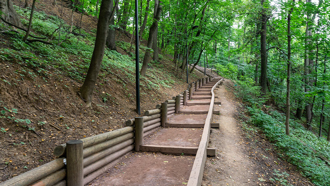 Экотропа, ведущая к станции «Воробьёвы горы»