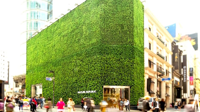  Nature Republic на Мендоне