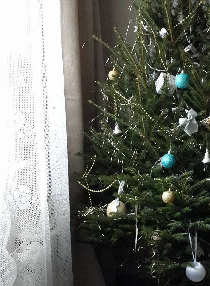Живая Елка - какая пахнет, какая не осыпается, а какая дешевле всех ...