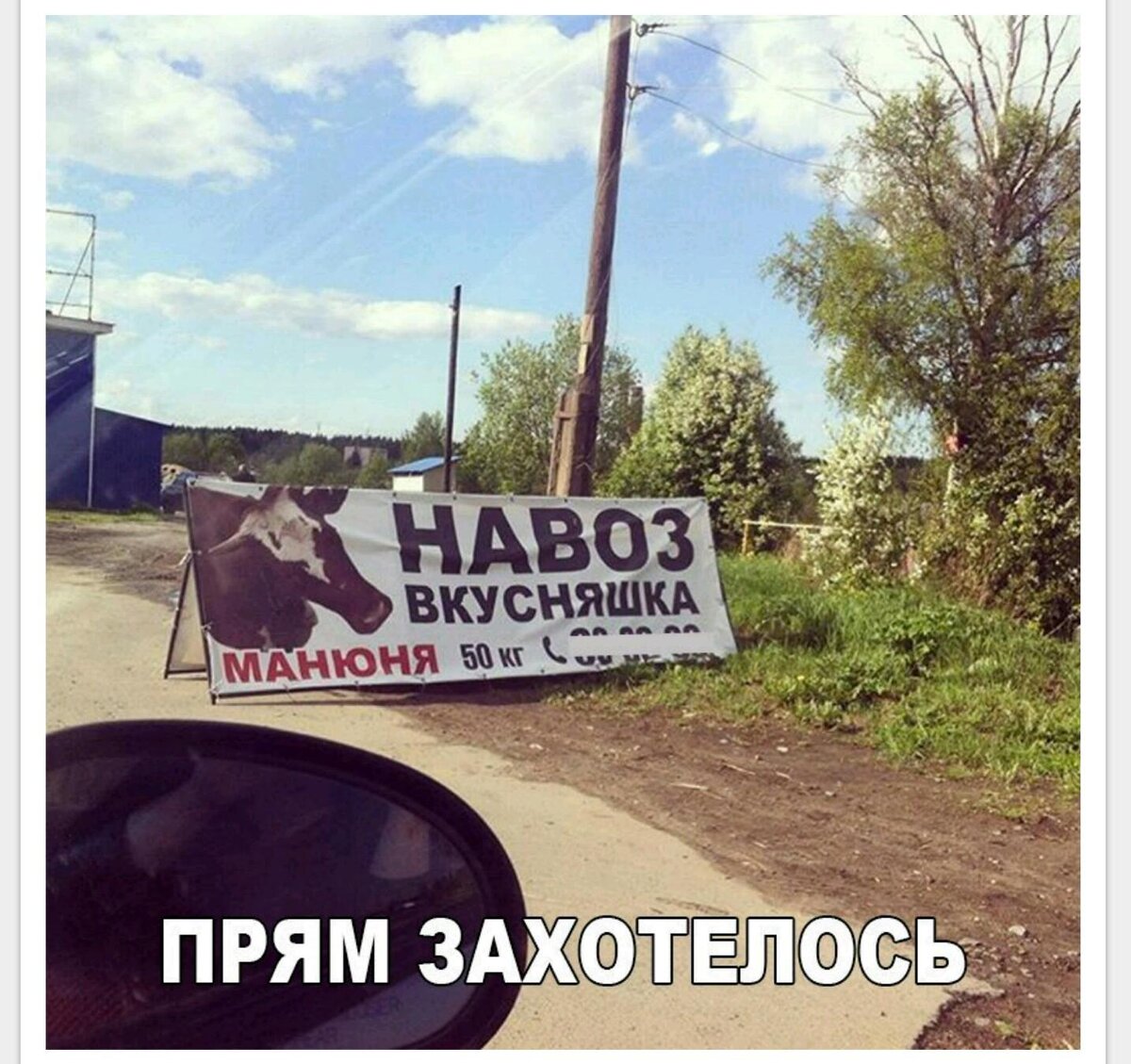 Источник яндекс картинки