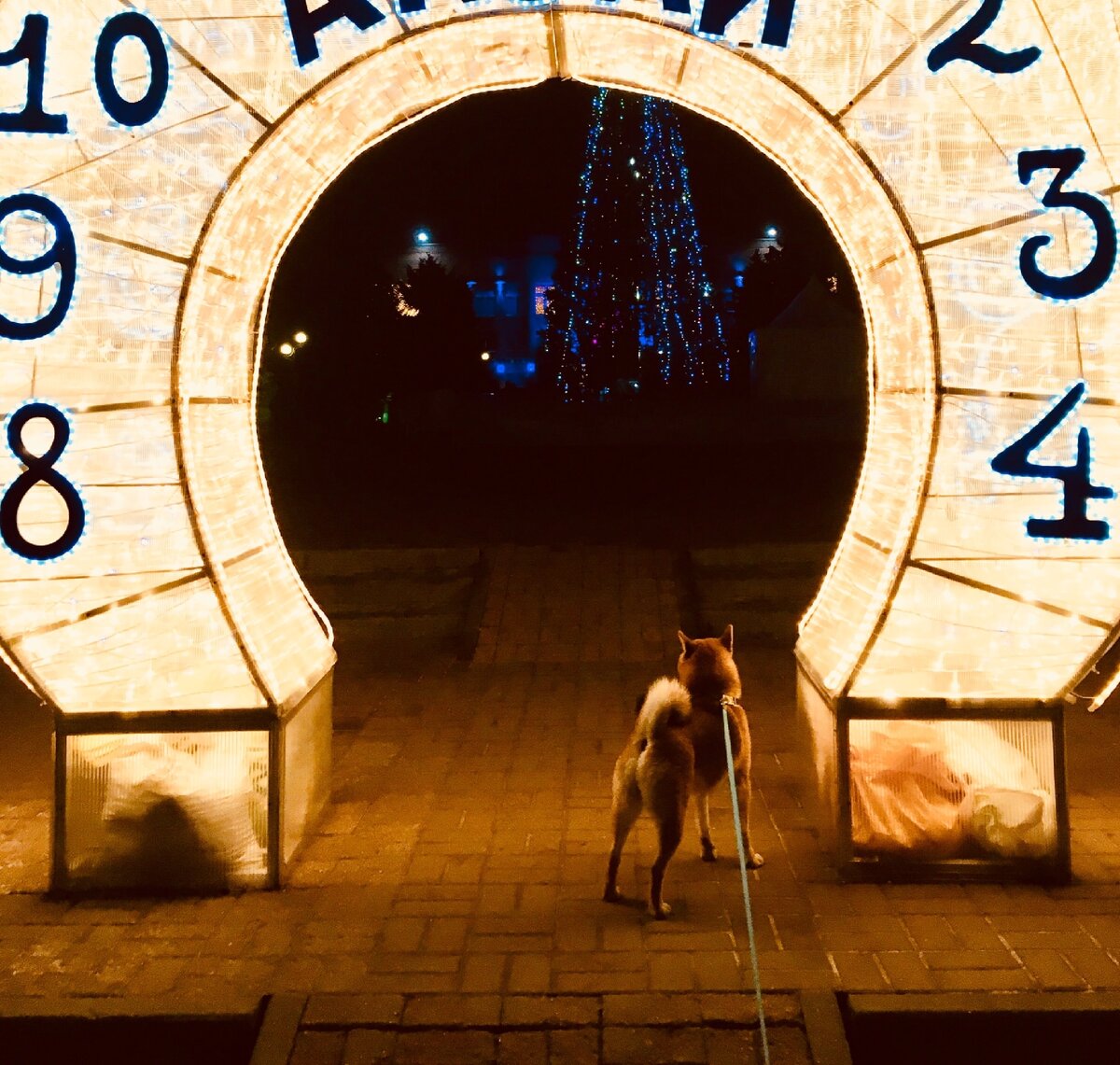 Тимо в новогоднюю ночь)