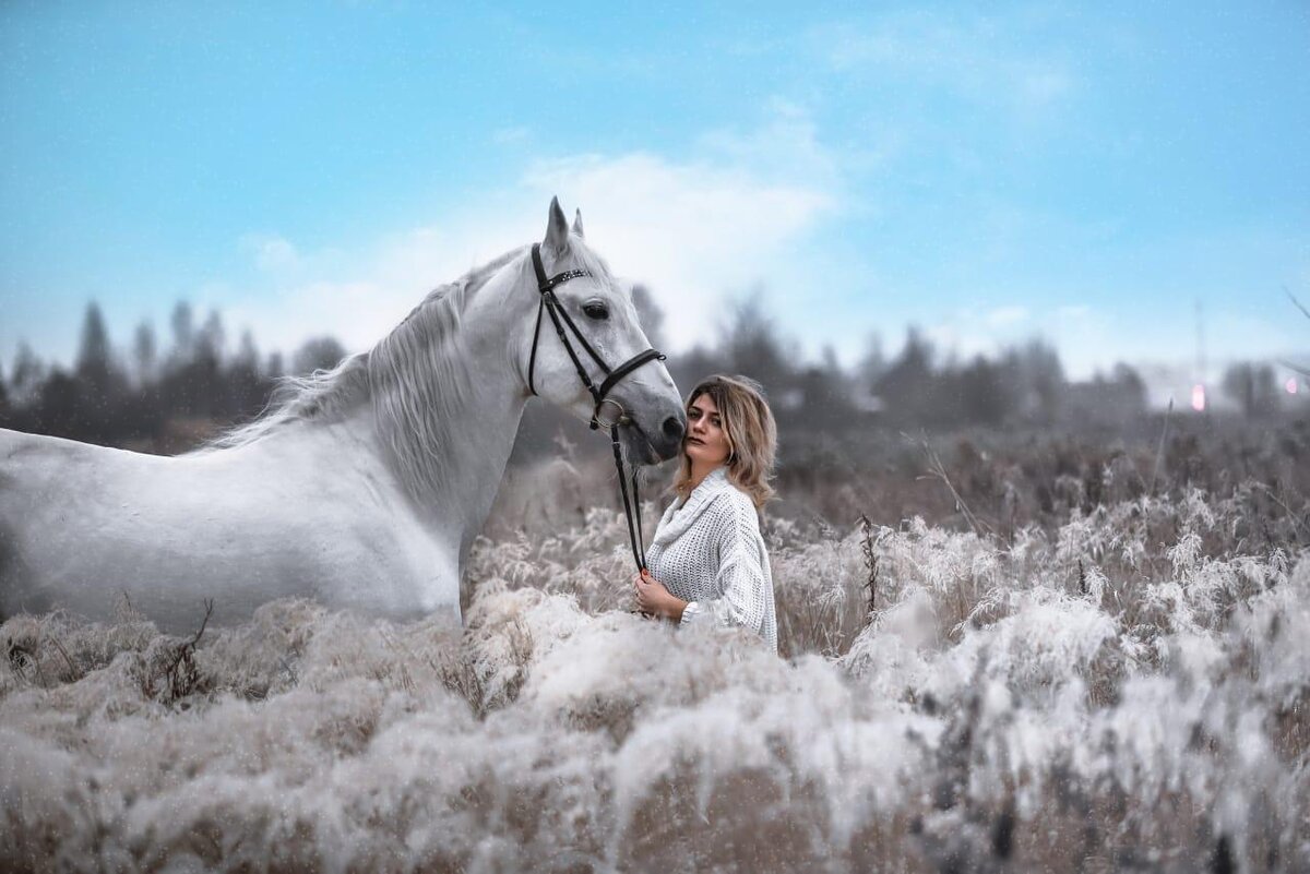 Цирковой конь вышел на пенсию и стал фотомоделью!