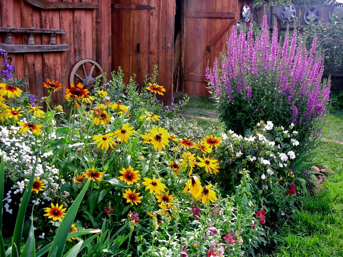 фото Ларисы Полуэктовой