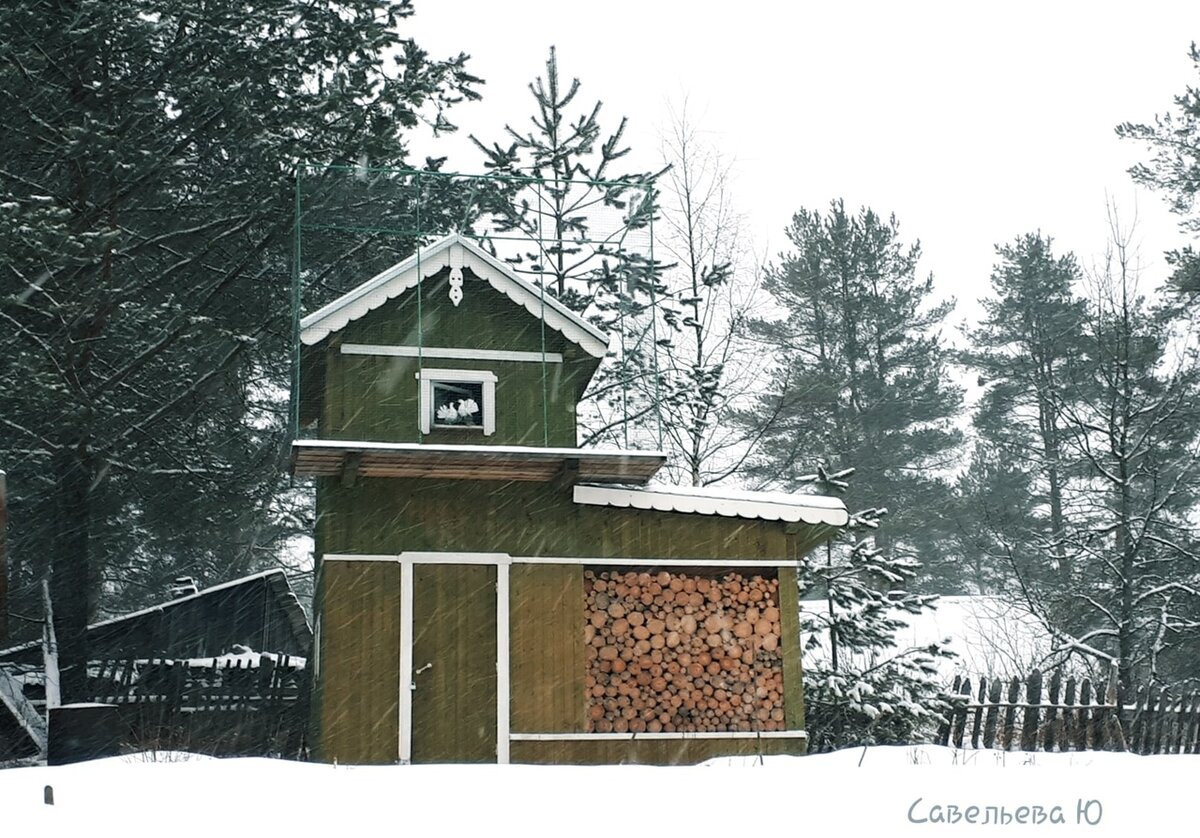 (Фото: Ю.Савельева)