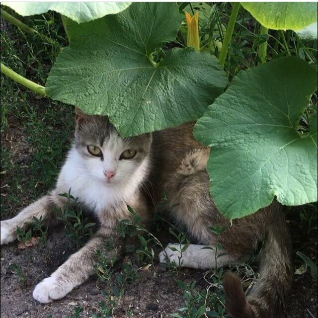 Фото автора.