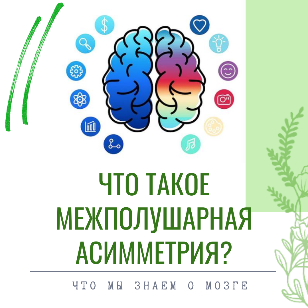 Межполушарная асимметрия. Межполушарной асимметрии. Асимметрия полушарий. Межполушарная асимметрия нейропсихология. Межполушарная асимметрия в психологии.