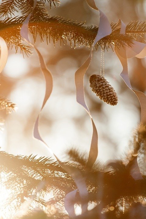 pixabay.com/