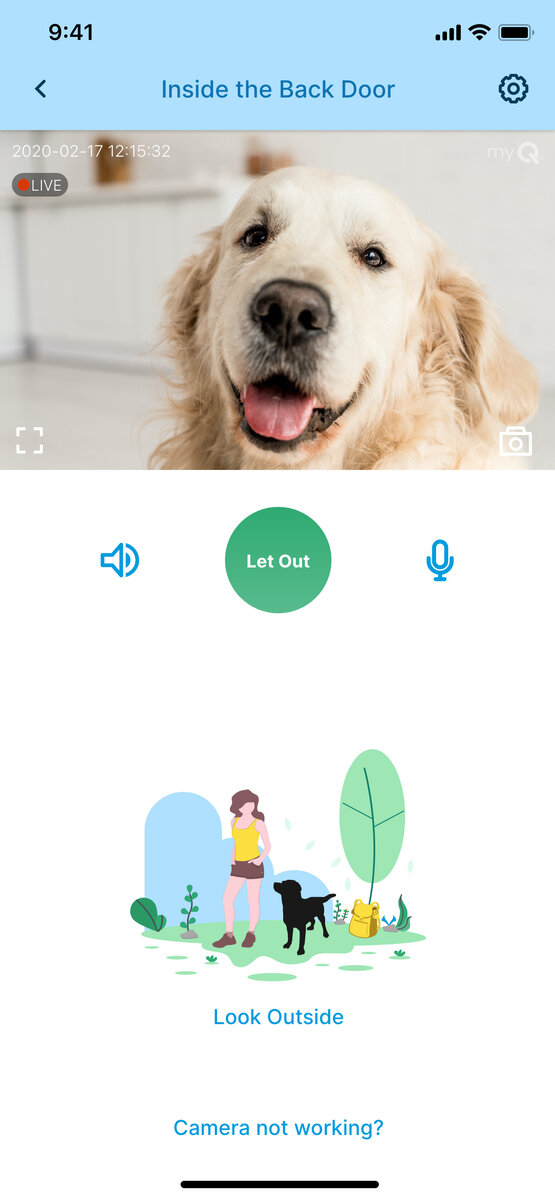 Хочу гулять! MyQ Pet — умная дверь для самостоятельных питомцев