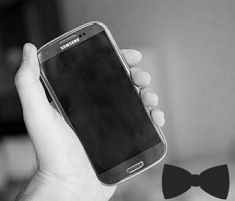 мой любимец