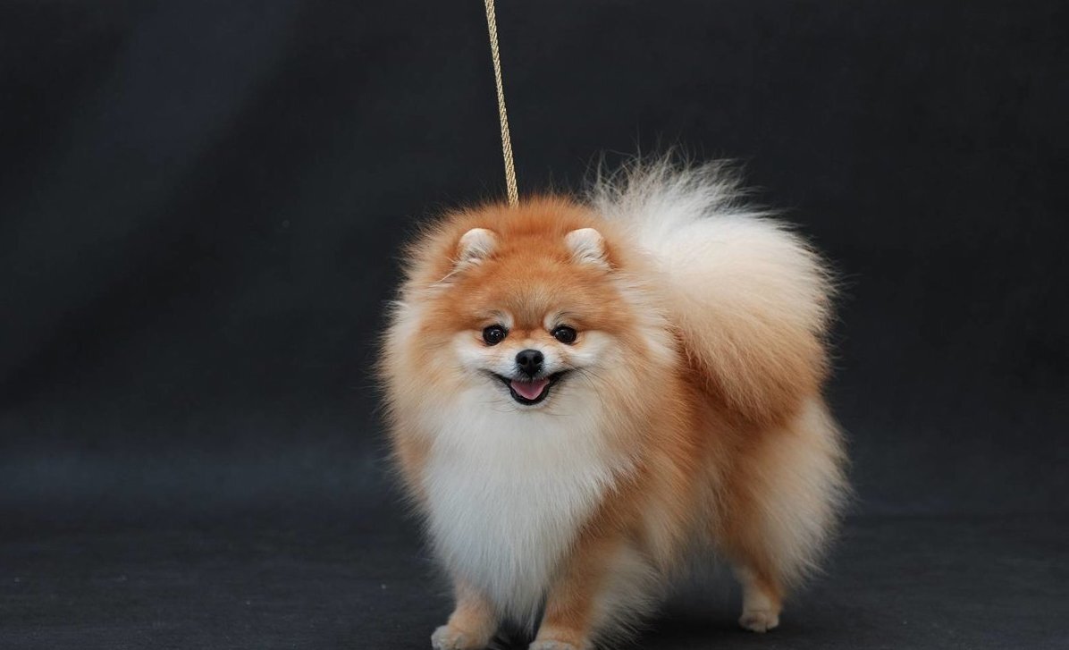 Изображение взято с https://o-prirode.ru