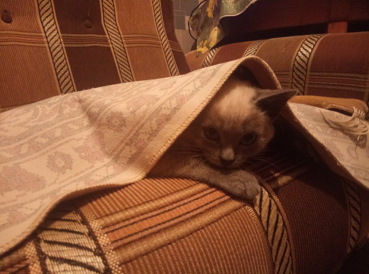 либо бесится "як конь". Лентяй наш! )))