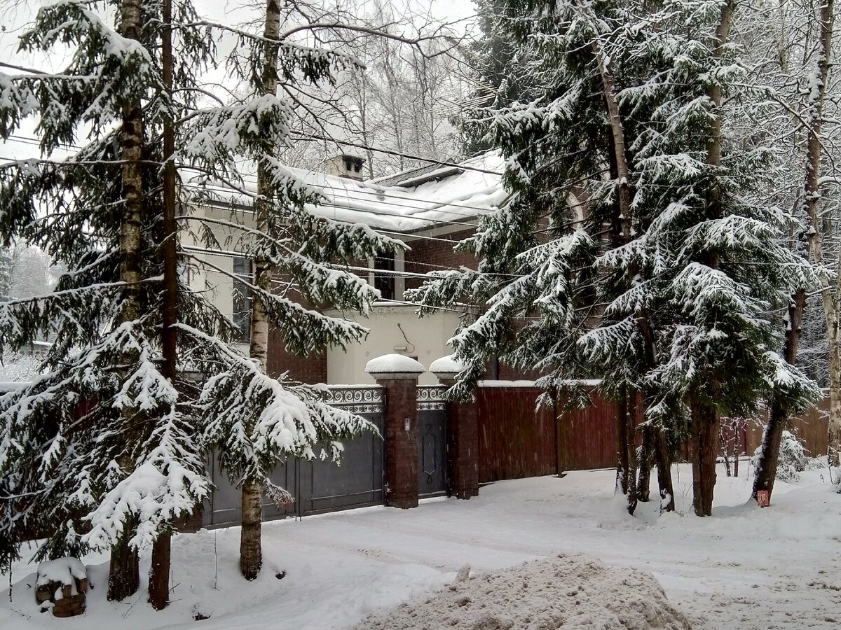 Фото автора. Уютный домик...