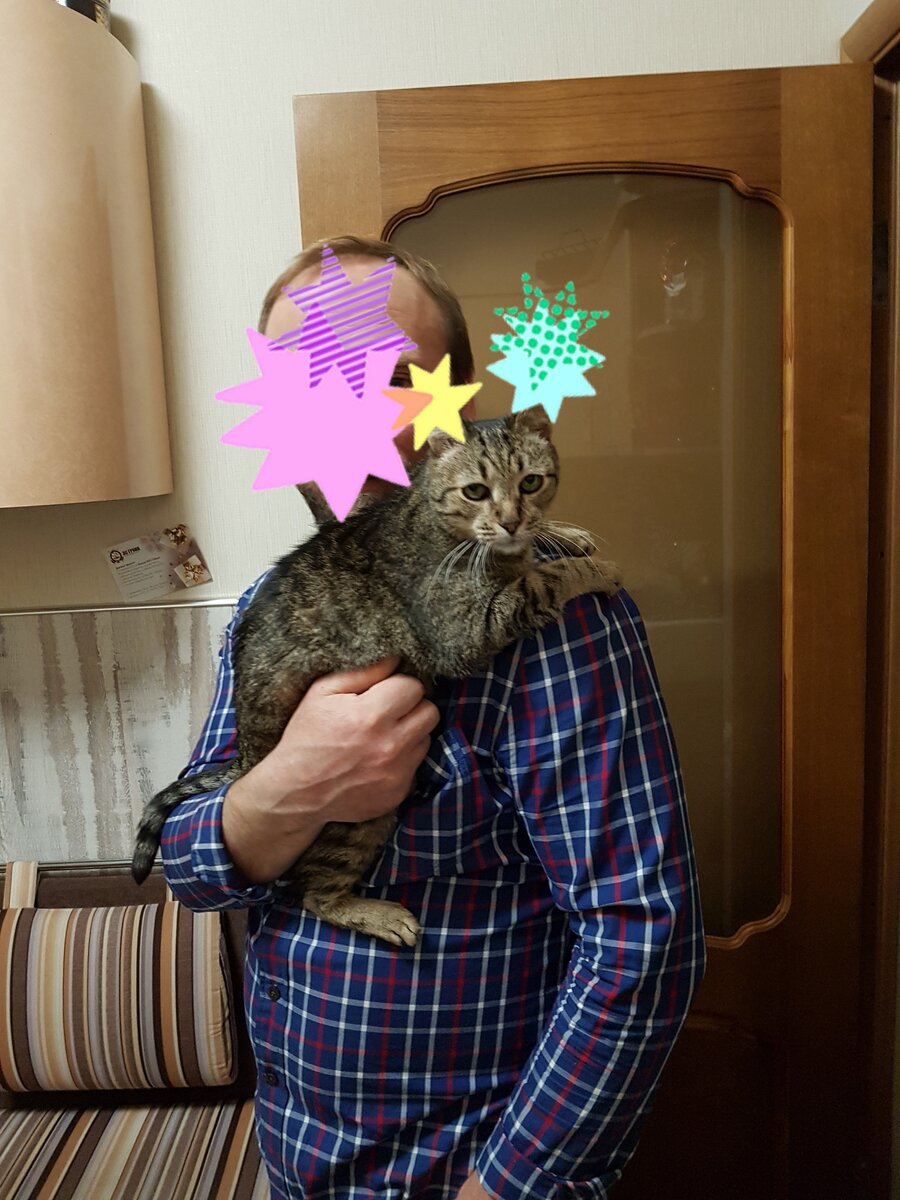 на ручках у хозяина