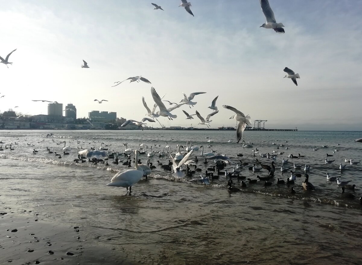 Анапа зимой