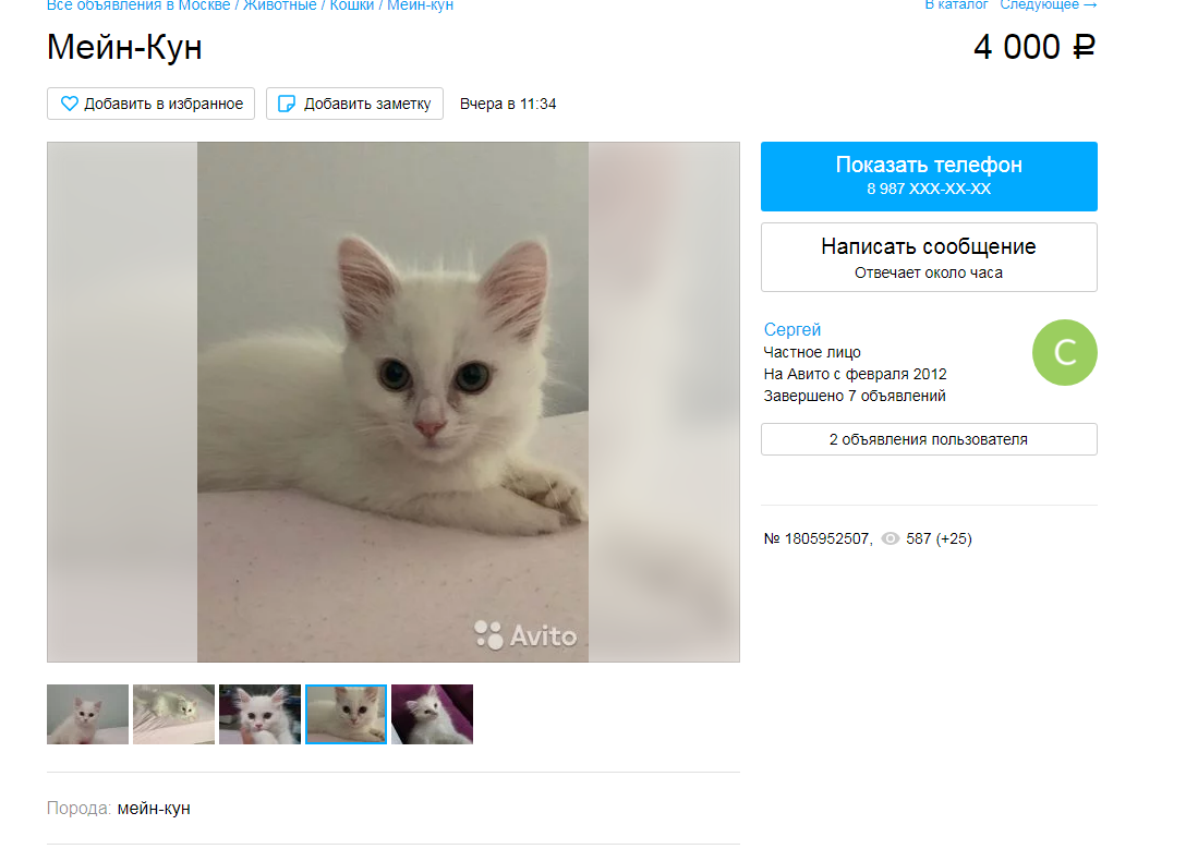 Не мейн-кун!