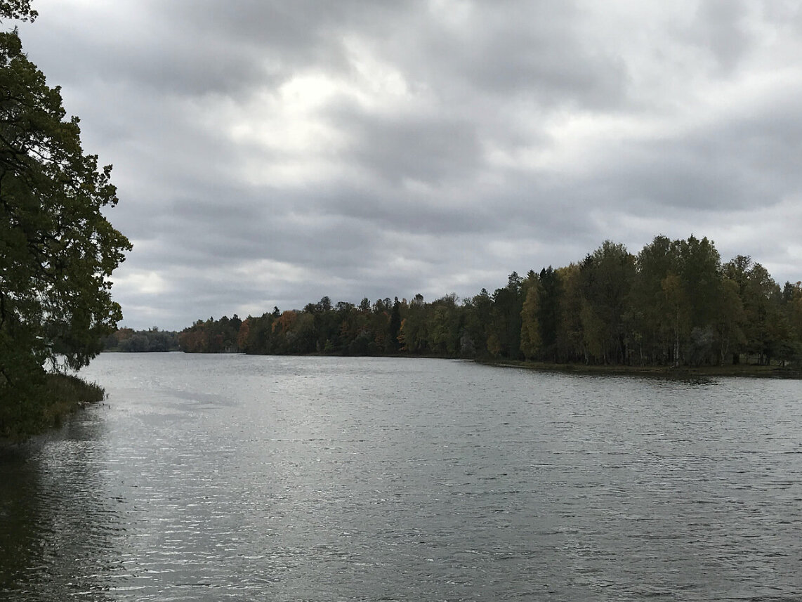 Местная флора