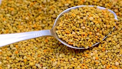 Вопросы реализации пыльцы обножки