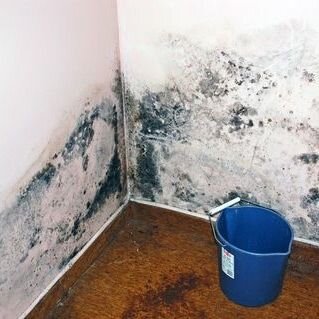 Фото: https://www.pinterest.ru/pin/393783561162292303/