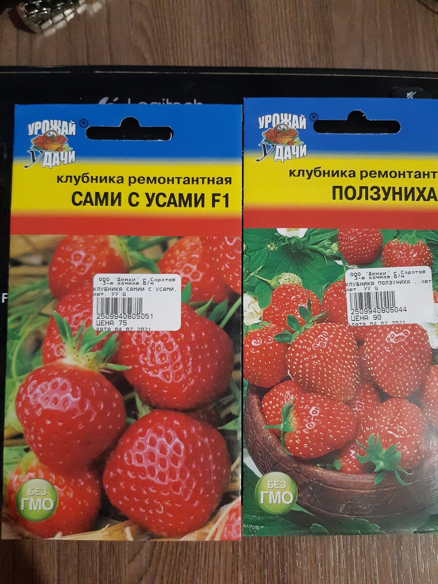 Семена клубники самые дешевые 75 рублей (фото автора)