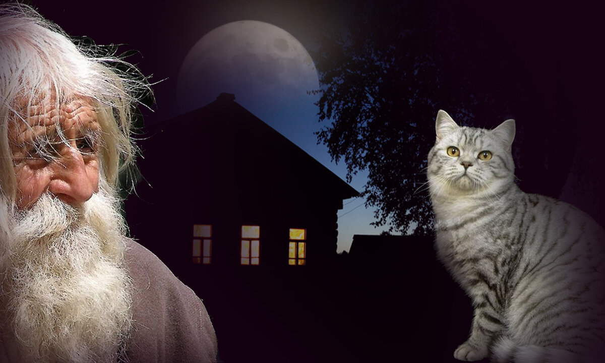 Изображение Автора. Зайцева Катерина. Домовой 