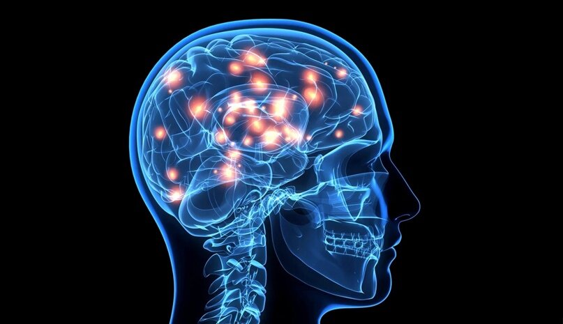 По мнению американского физика-теоретика Митио Каку , человеческий мозг — это самый сложный объект во Вселенной . Исходя этого заявления не удивительно, что ученые постоянно узнают о нем что-то новое.