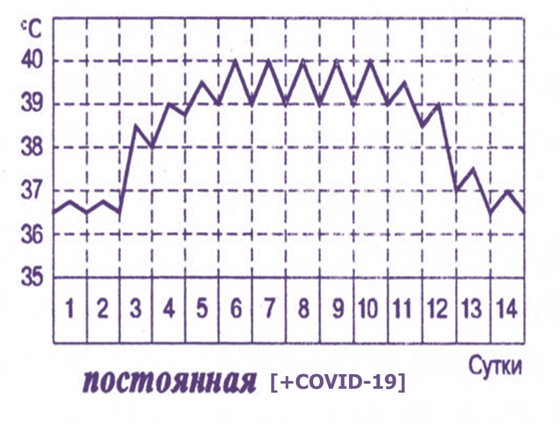 Температурные кривые при лихорадке