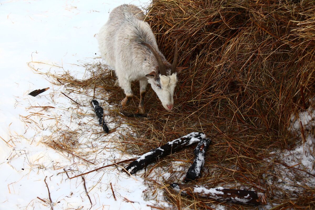 На "месте преступления"