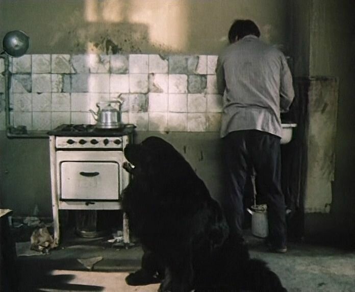 кадры из фильма "Друг"