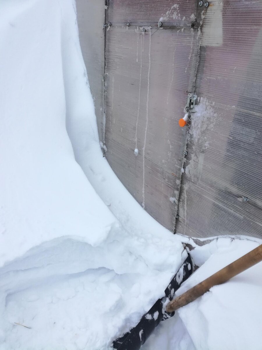 Нас сегодня замело. Фото автора. 