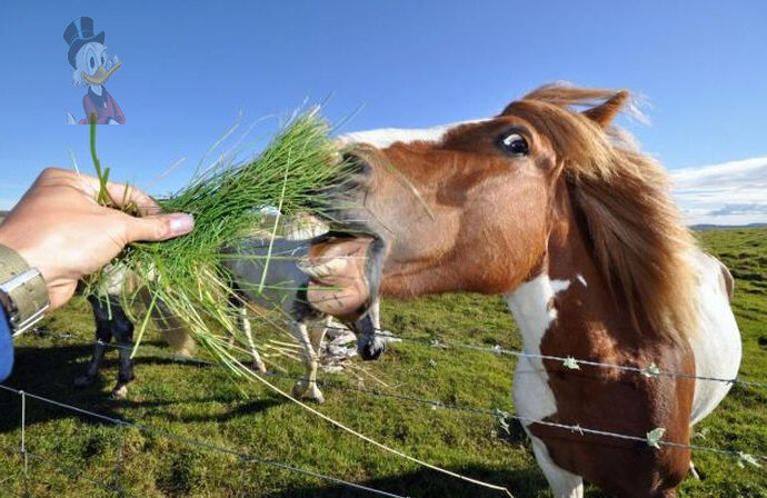Современная профессия со стабильным достатком. Источник фото - https://www.yaplakal.com/