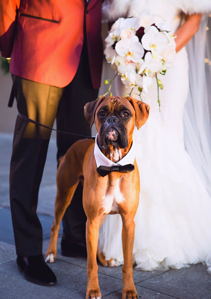  worldsbestweddingphotos.com