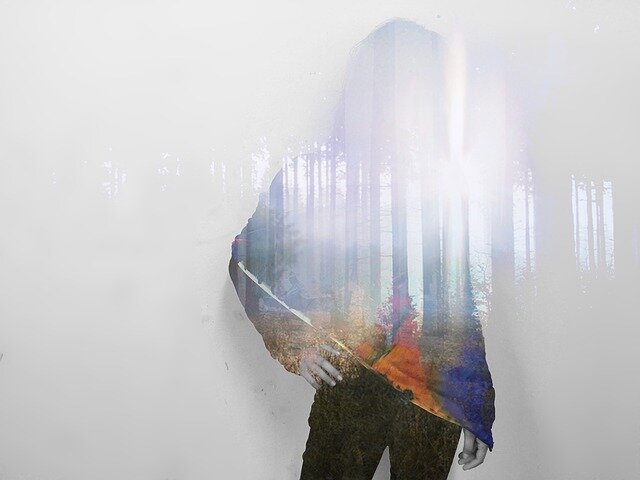 Источник: https://pixabay.com/