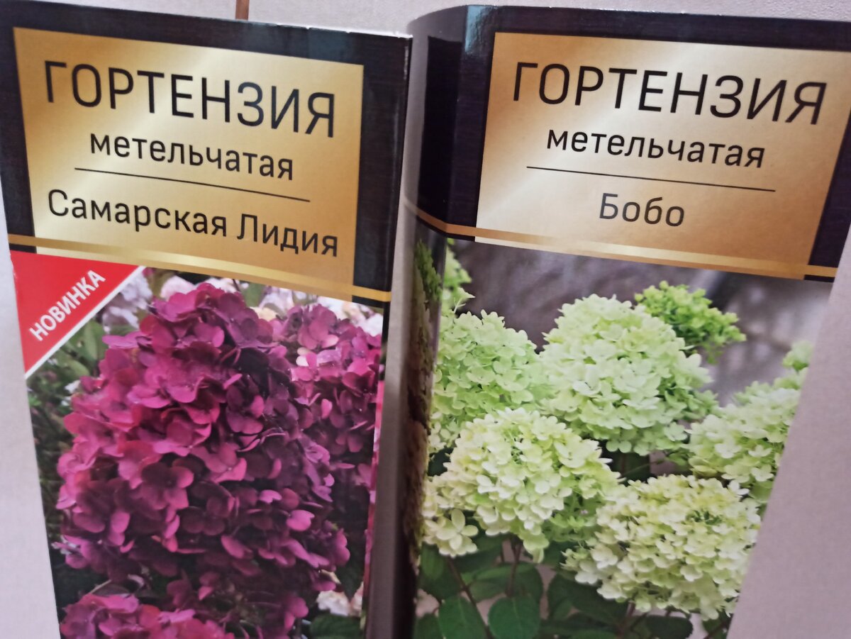 Новые жильцы в нашем саду