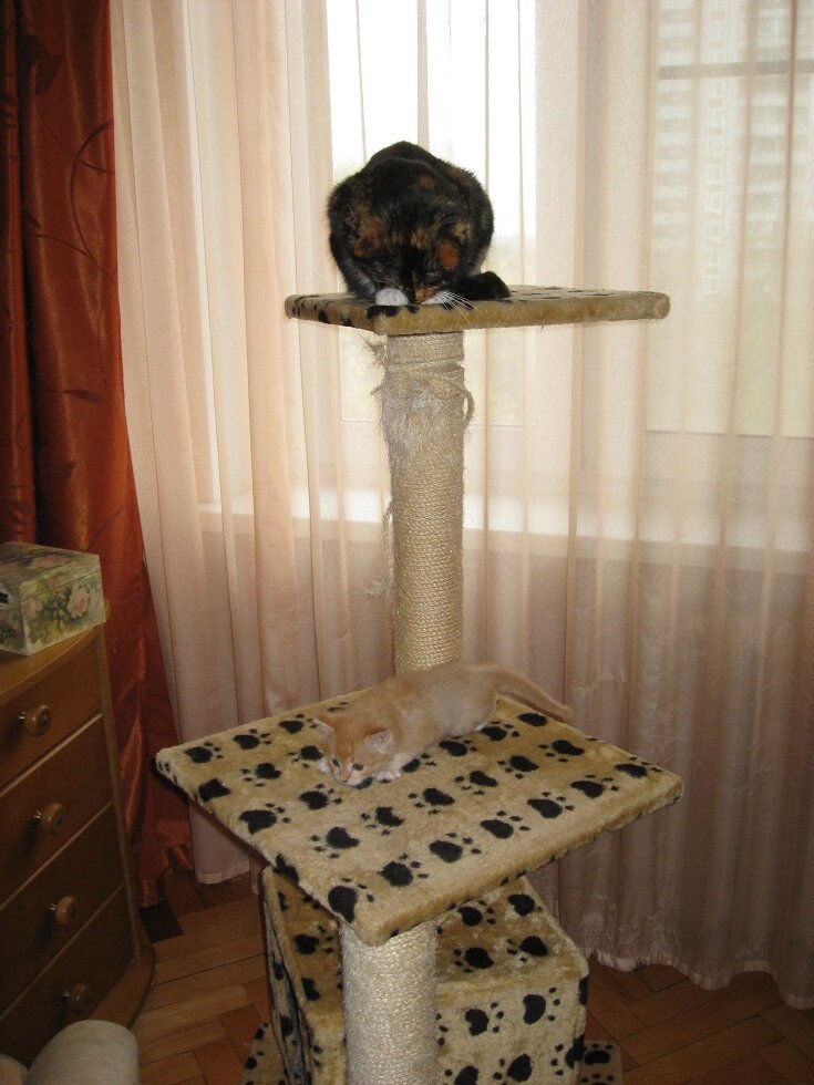 Получилось залезть на комплекс! Победа!