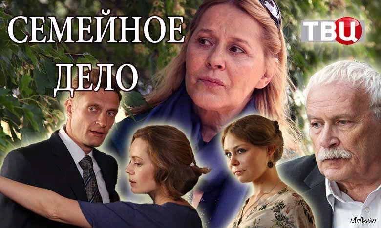 События российского сериала «Семейное дело» начинаются с того, что за семейным ужином собираются Игорь, Иван, Егор и Соня, чтобы отметить юбилей бракосочетания родителей. Однако вместо веселья мать ошеломляет родных неприятной новостью – родители решили развестись. Примерные отношения Любови и Леонида разрушили стереотипы детей. В результате чего дети совершают поступки, над которыми совершенно не думают. Игорь в нетрезвом состоянии сбивает велосипедистку. Соня оказывается в любовном треугольнике. У Егора назрел служебный роман, а Ваня поругался со своей невестой. Проблемы родителей остаются на заднем плане, теперь дети полностью погружены в свои личные.