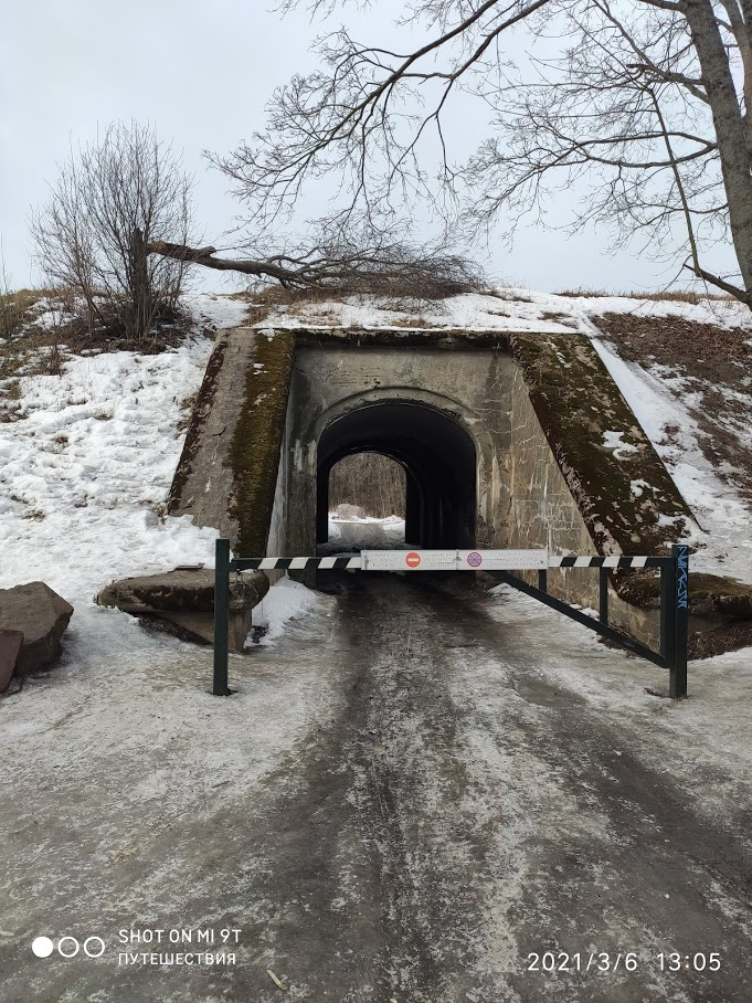 Природный заказник "Западный Котлин". Вход. Фото автора 