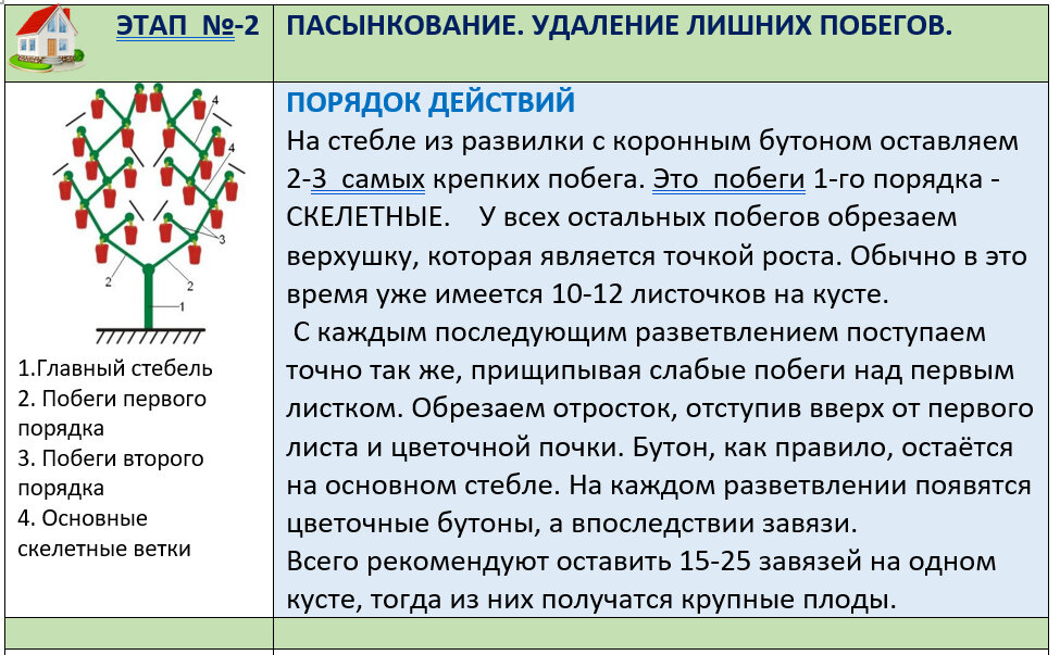 Как формировать перец в теплице пошаговое