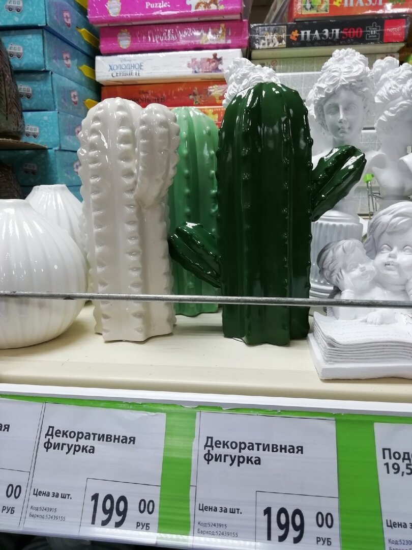 милые кактусы