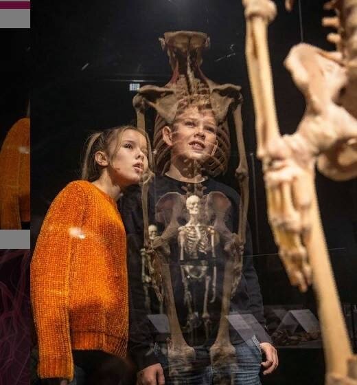 На выставке Body Worlds. Источник: http://bodyworlds.moscow/ru/galereya