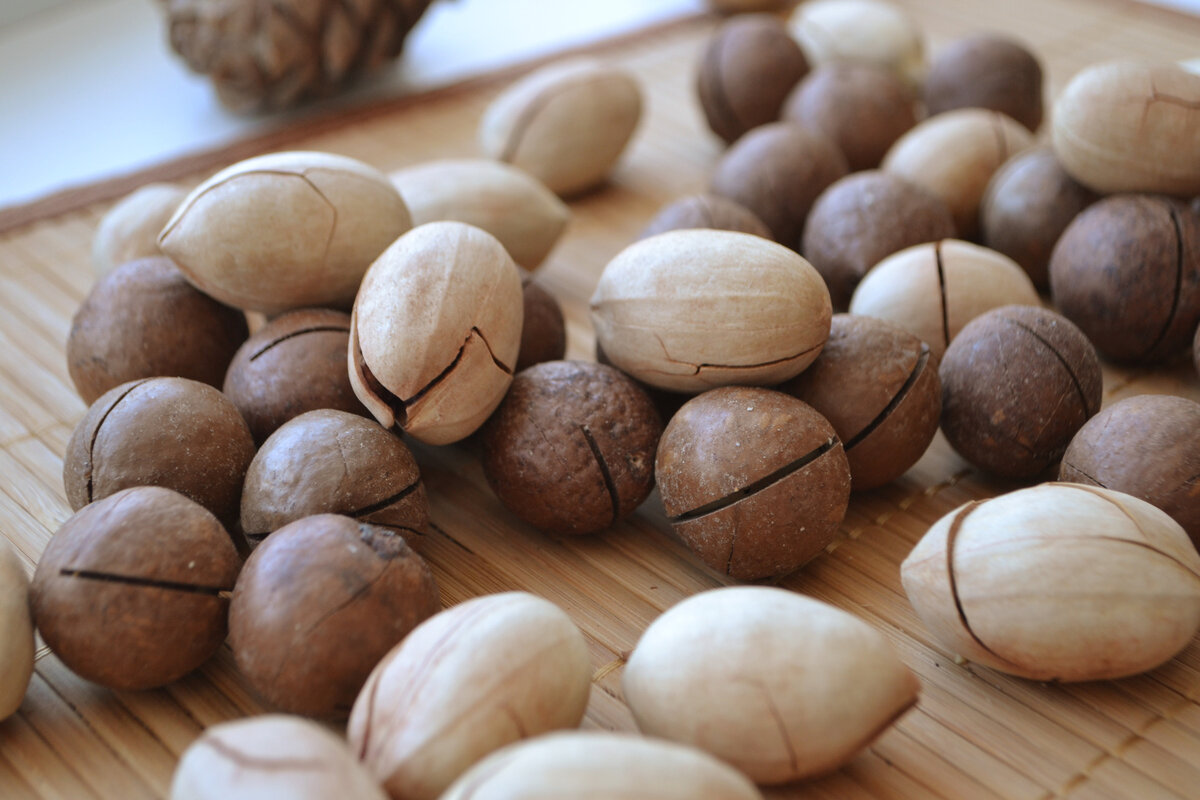 National Pecan Sandy Day